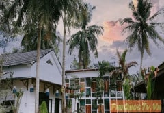 The May Garden Stay & Cafe