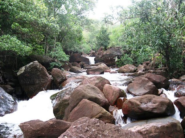 S đá ngọn2
