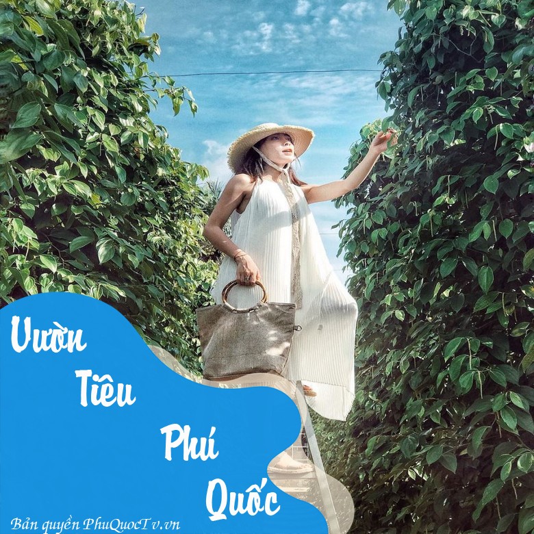 vuon-tieu-phu-quoc-2