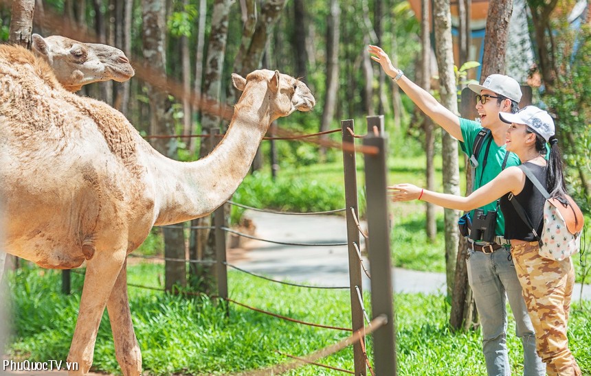 vinpearl-safari-phu-quoc-phuquoctv-3