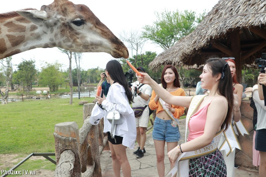 vinpearl-safari-phu-quoc-phuquoctv-1