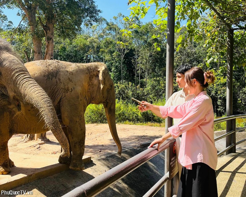 vinpearl-safari-phu-quoc-phuquoctv-2