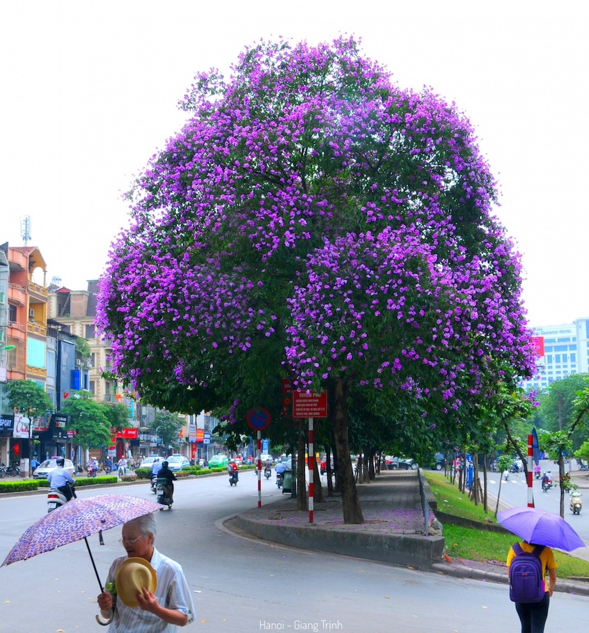 du-lich-ha-noi15