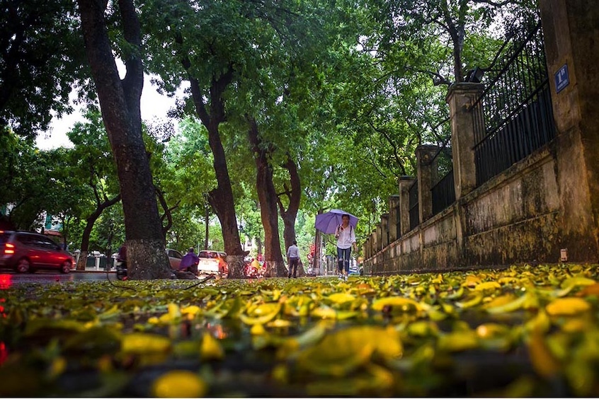 du-lich-ha-noi23